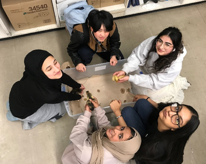 Ducklings Biology 30